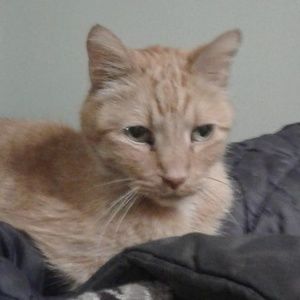 Meet your Posher, Mike